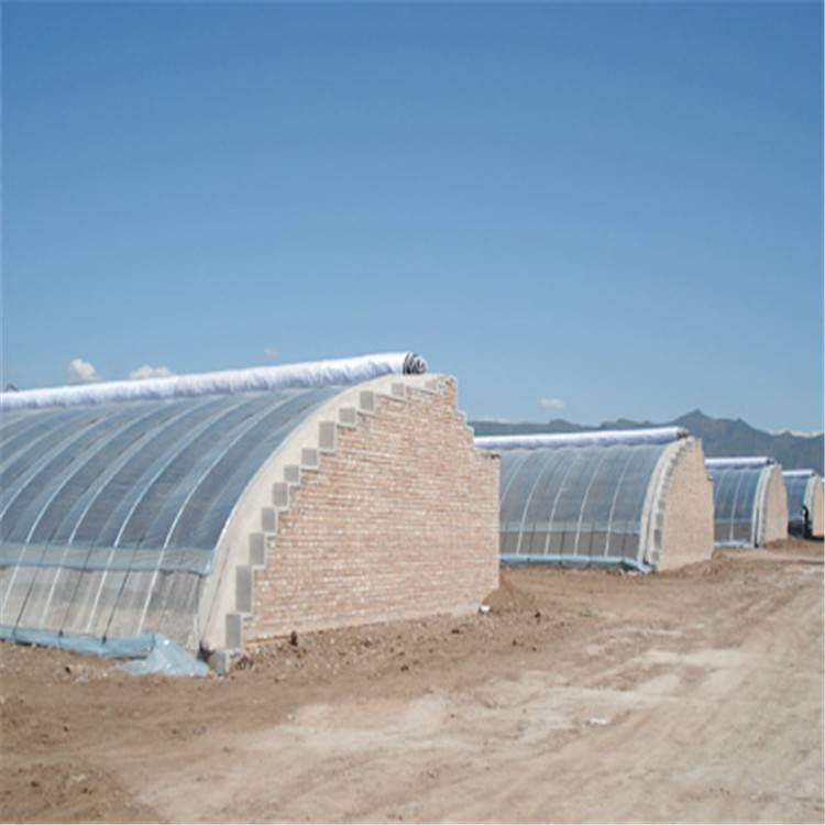 简单实用冬暖式日光温室拱棚内部宽敞花草采摘基地 昌越温室