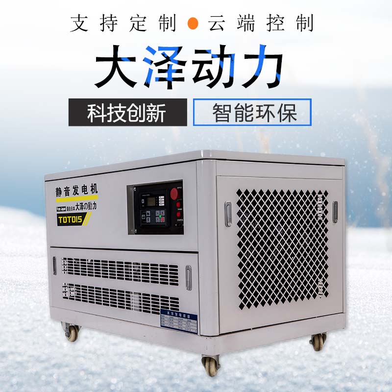 高原用汽油发电机 大泽动力20kw