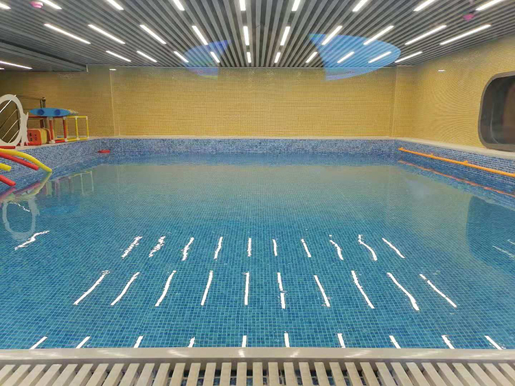 钢结构游泳池
