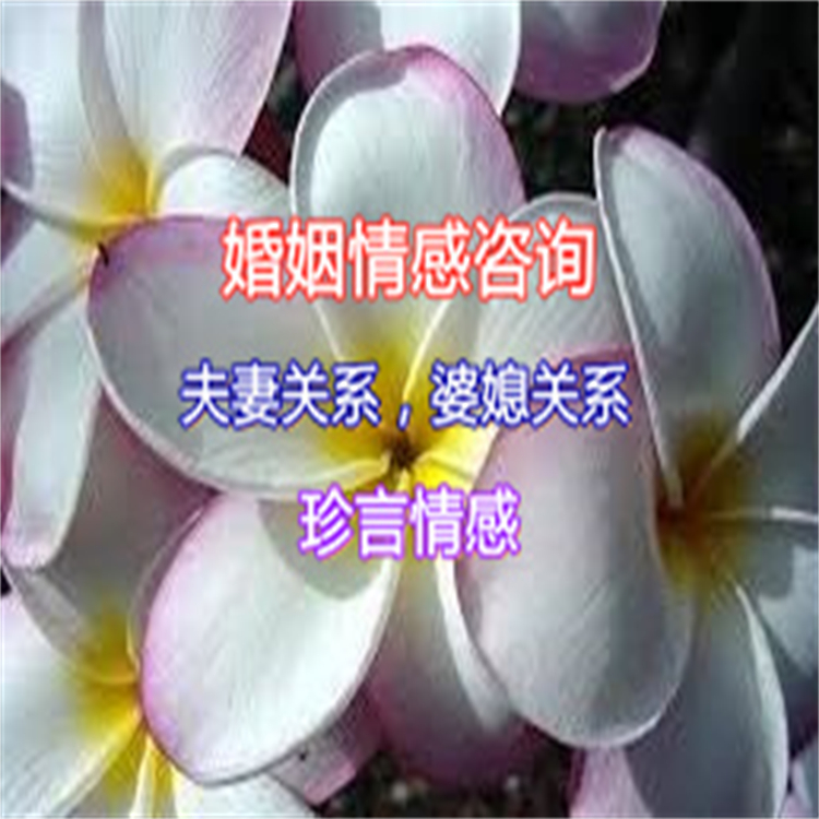 湖南湘潭市雨湖区婚姻咨询