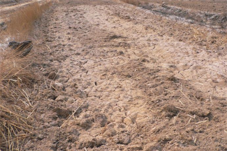 广州市种植泥土成分分析,河道污泥检测中心