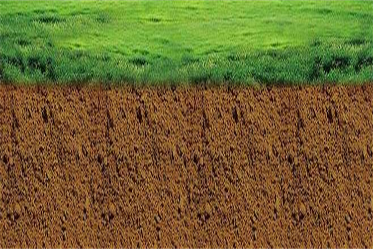 中山农水田土壤肥力检测,土壤**质检测中心