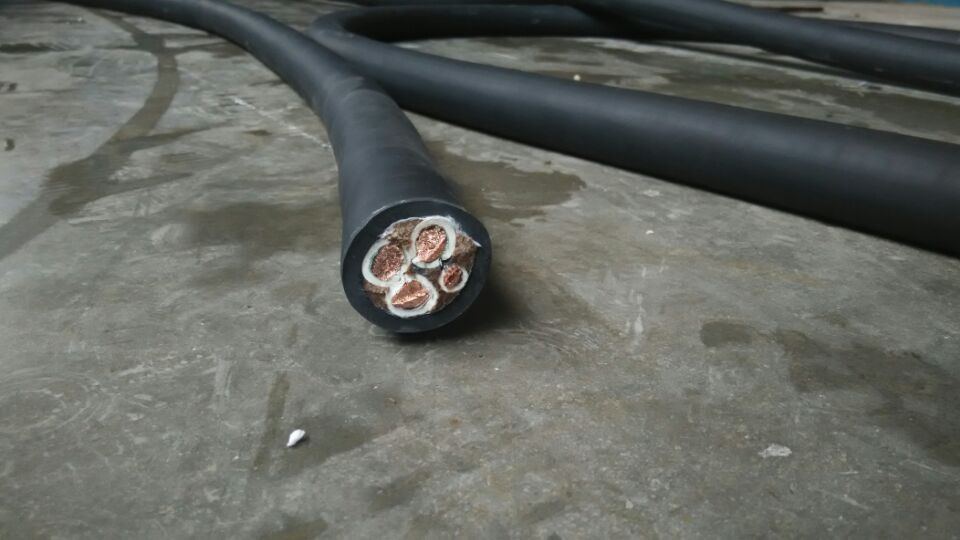 RVVP屏蔽电力电缆，铜芯双绞线双绞屏蔽软电缆