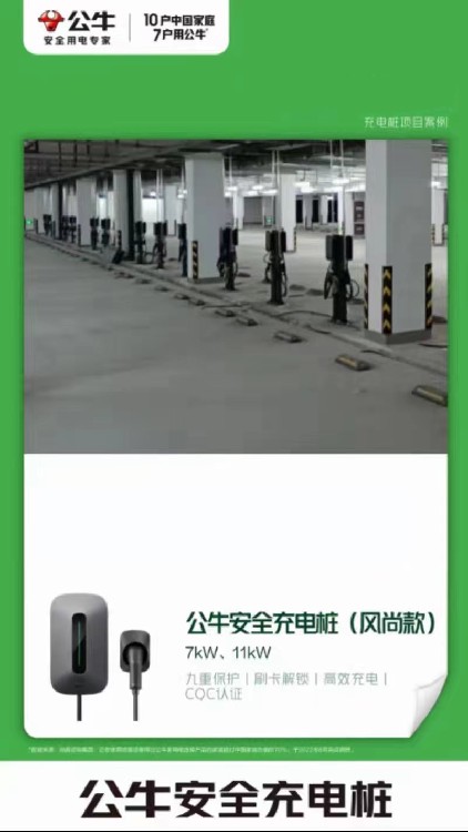 广东中山港口180KW公牛充电桩