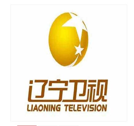 辽宁卫视节目植入广告价格，辽宁电视台广告合作形式分享