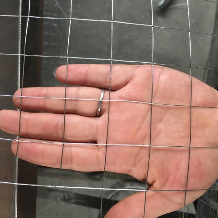 工地粉墙镀锌电焊网-0.9米宽-宿迁电焊网厂家