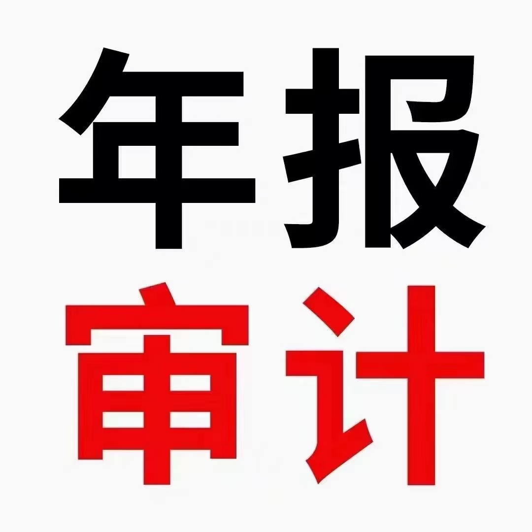 审计报告，年度审计，财务审计 会计师事务所、劳务派遣审计报告 工商注销审计报告，法人变更审计报告