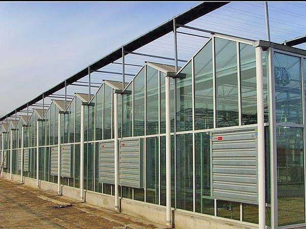 pc阳光板温室 日光温室大棚建造设计成本