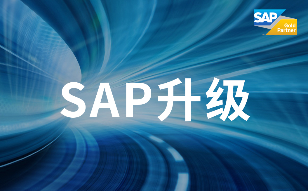 ecc模块升级 sap升级服务商 德国SNP SAP实施公司