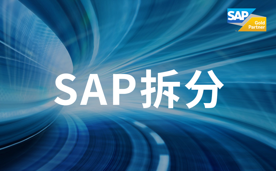 sap业务模块拆分 sap系统拆分剥离 选择SNP自动化拆分平台