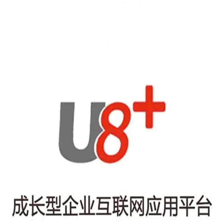 杭州比较好的用友|u8i软件|杭州用友ERP公司