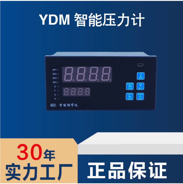 YDM-121A智能压力计 压力输入 变送输出 数码显示 测量精确