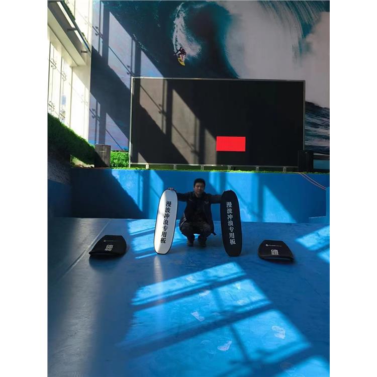 乐山滑板冲浪模拟器 体育新增设备 陆冲新设备