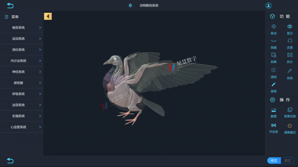 动物解剖数字化实验室 VR机能学软件系统