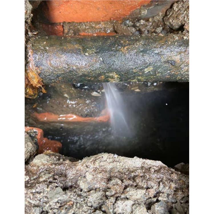 横沥镇漏水探测漏点 地面渗水探测漏点 检测供水管泄漏位置