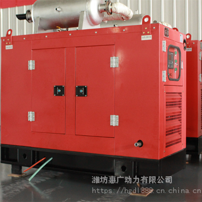 重庆250KW餐厨垃圾处理沼气发电机组 可配置余热回收锅炉