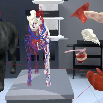 MR实验动物学实验室 VR畜牧养殖实验室
