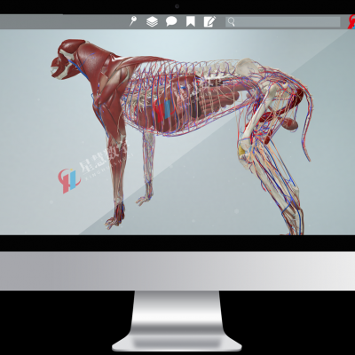 兽医学VR教学平台 动物虚拟软件