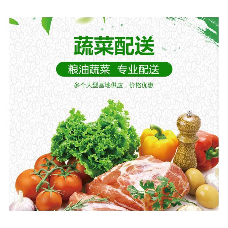 河源蔬菜批发食材配送公司 提供新鲜平价_食堂配送蔬菜服务