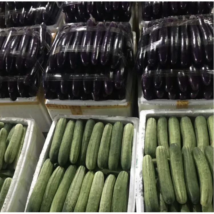 东城区肉菜批发食堂农产品配送公司价格行情 大型蔬菜批发市场 自有蔬菜种植基地