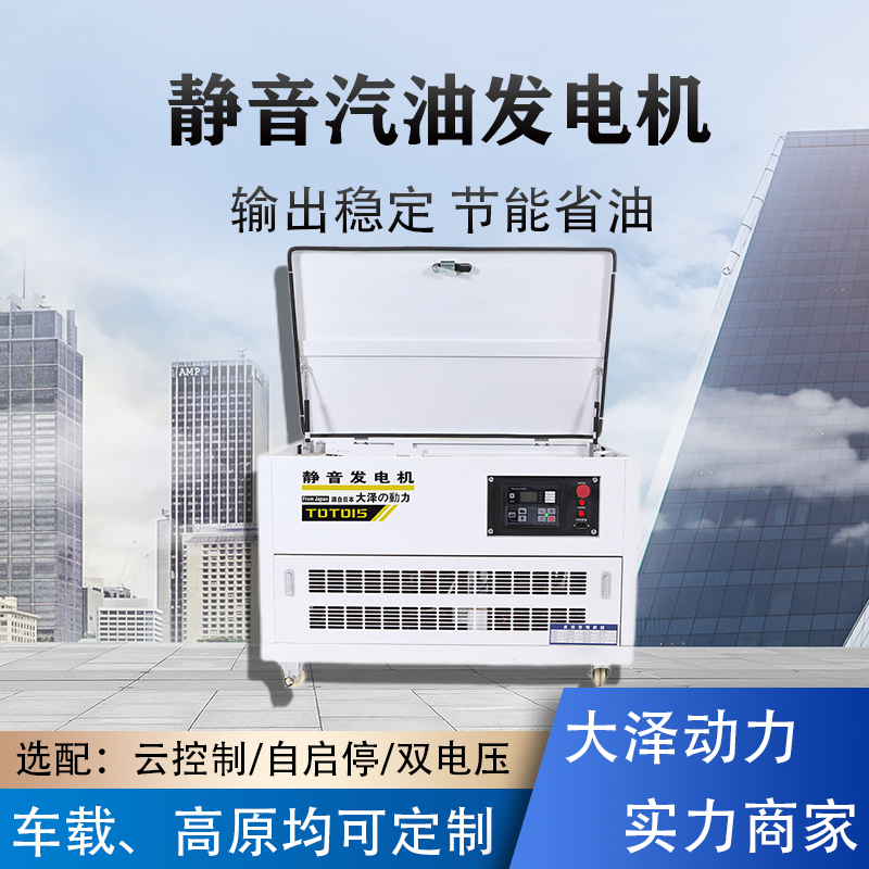 大泽动力15kw发电机组 静音汽油发电机箱体式 别墅用