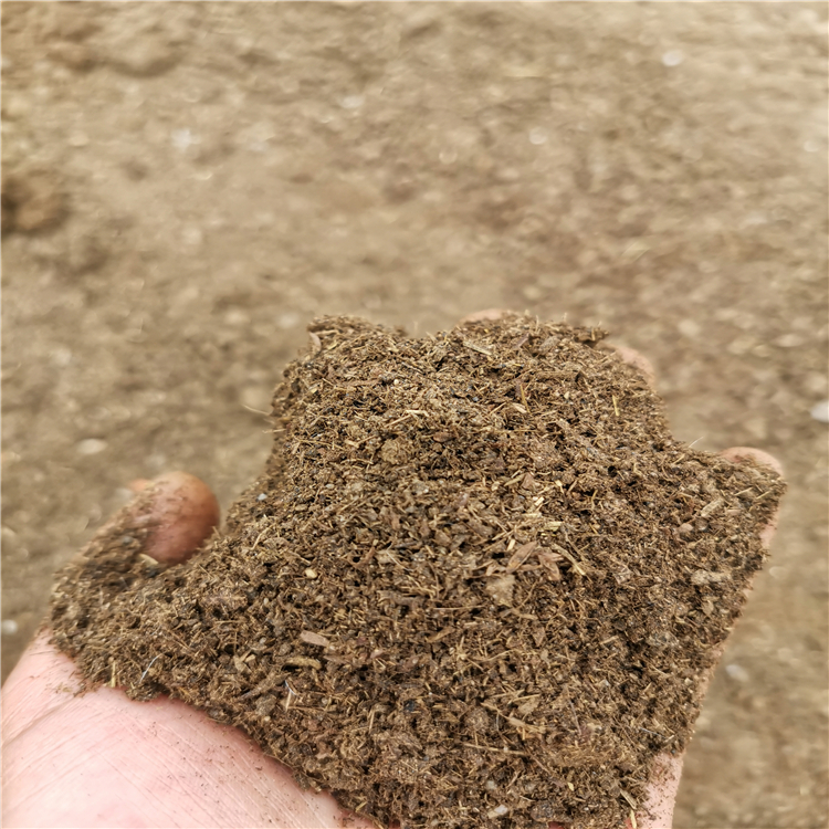 营口发酵羊粪 干羊粪 疏松土壤
