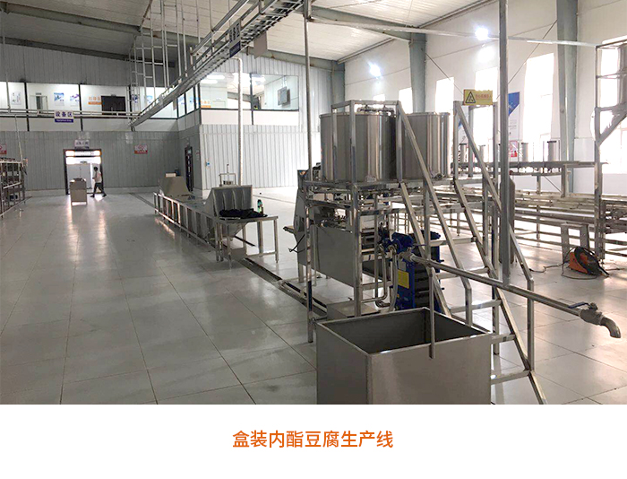 宁波豆腐加工设备 惠州全自动豆腐生产机器哪家好