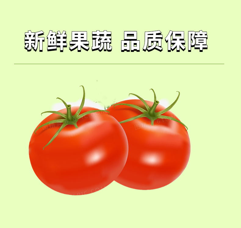 西红柿汁粉 水溶性精细粉末 长期供应 质量稳定