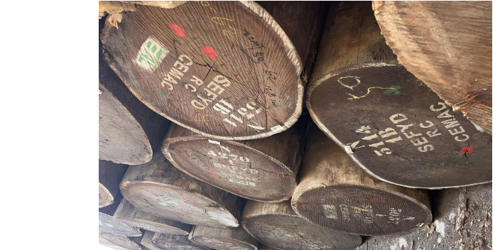 上海沙比利房门 值得信赖 张家港广润木业供应