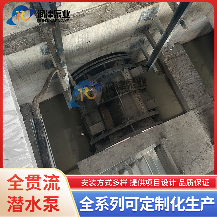 润津泵业 10KV高压全贯流泵制造商 全贯流闸门泵源头厂家