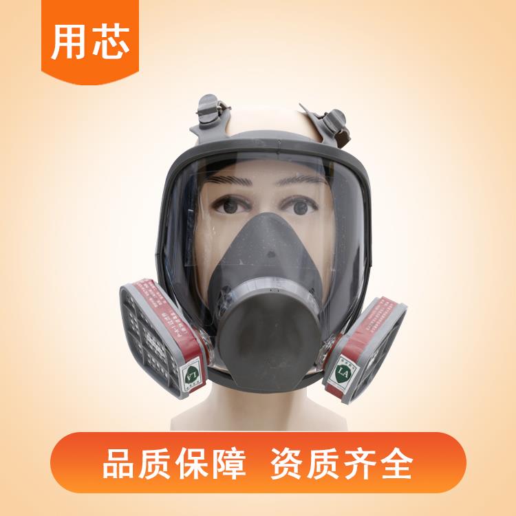 用芯YX0401双盒大视野全面罩 呼吸防护自吸过滤式防毒面具