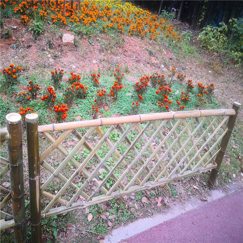 成都温江pvc围墙围栏绿化草坪护栏竹篱笆竹栅栏