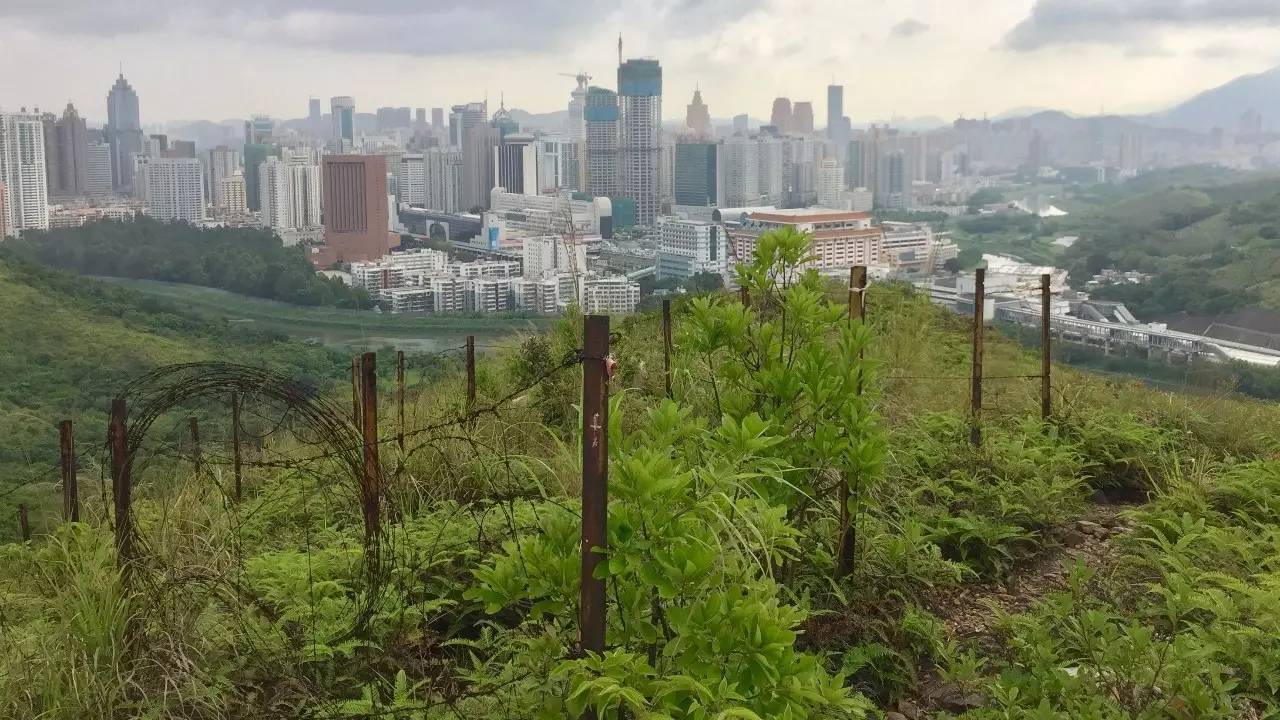 深圳办理中国香港个人或公司开户，随时预约开户！