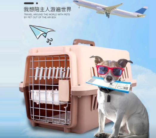 关于我们-郑州航空物流公司欢迎您-全国热线下单-欢迎咨询