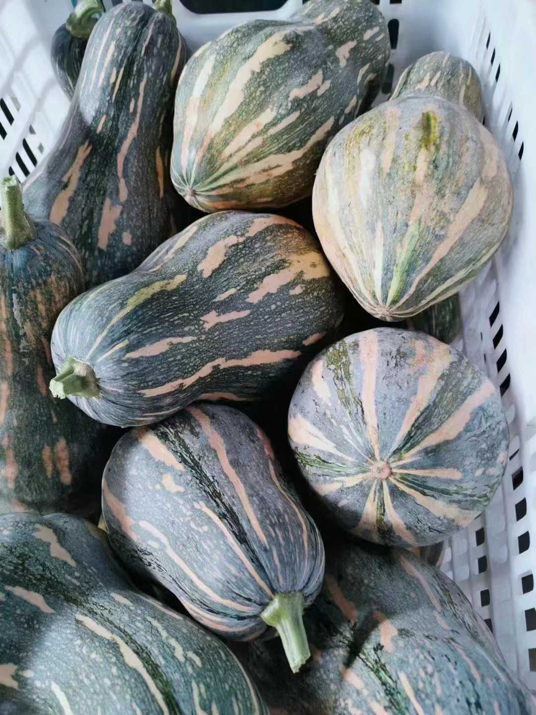 察步鎮(zhèn)酒店蔬菜配送價格實惠
