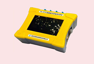 TS-DT01型智能天然电场分析仪