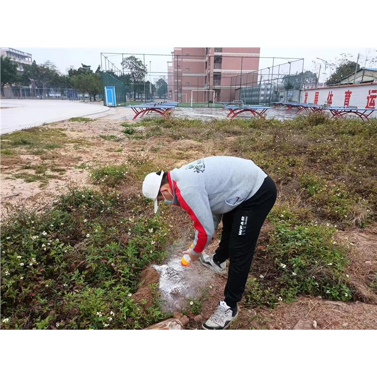江门鹤山市校园消杀 保持环境清洁 蜱虫