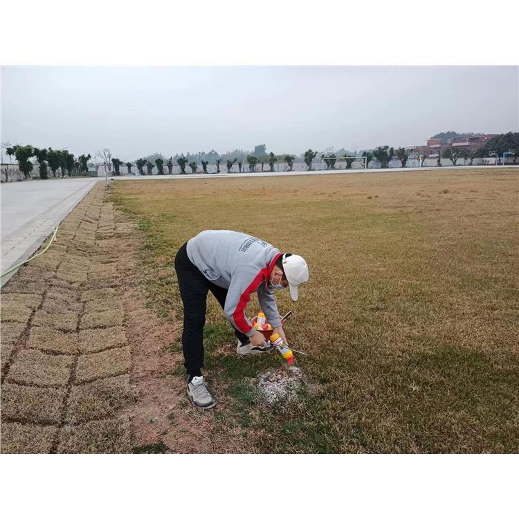 江门蓬江学校消杀公司 害虫防治 上门服务 确定方案