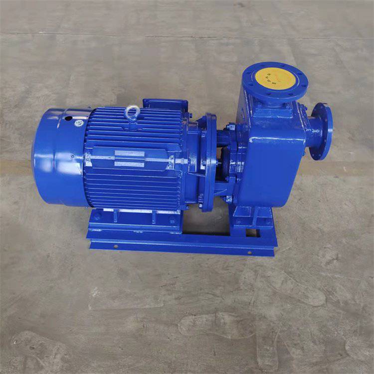 自吸真空泵可抽清水污水泵处理提升泵吸程6米扬程40米流量25立方米每小时