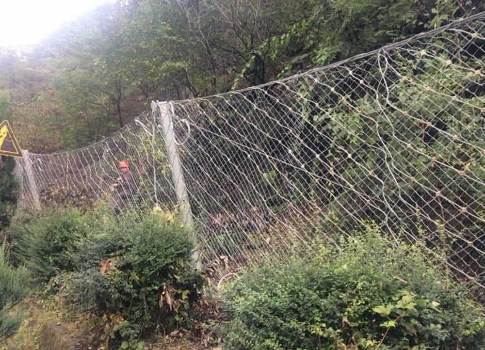 养殖牛羊护栏 场地防护网 菱形镀锌铁丝网 菜园防护网