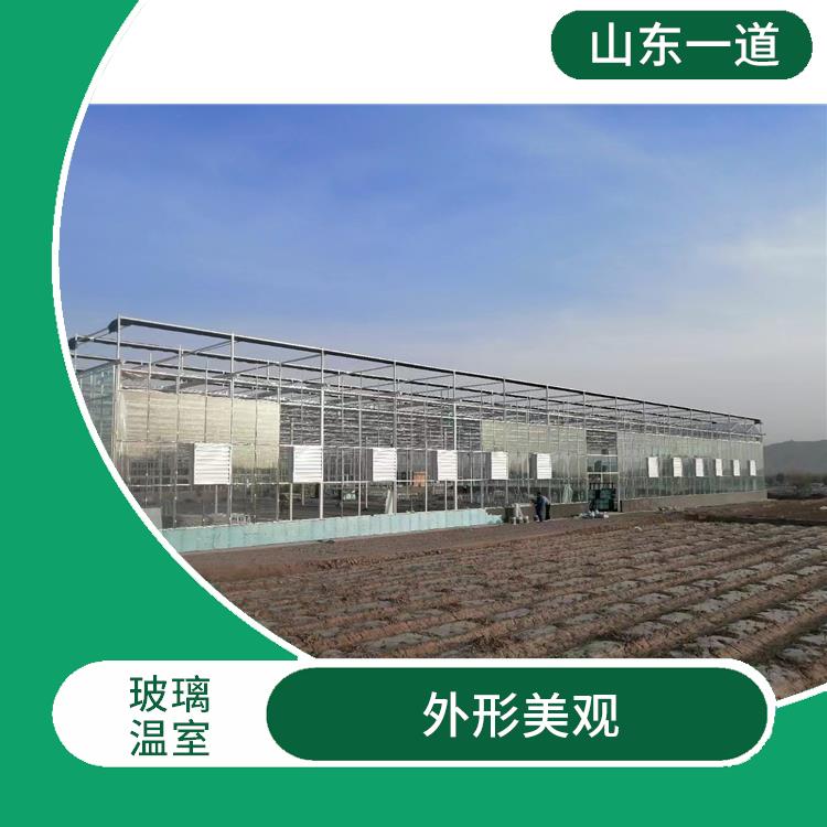 玻璃温室大棚的销售团队绩效