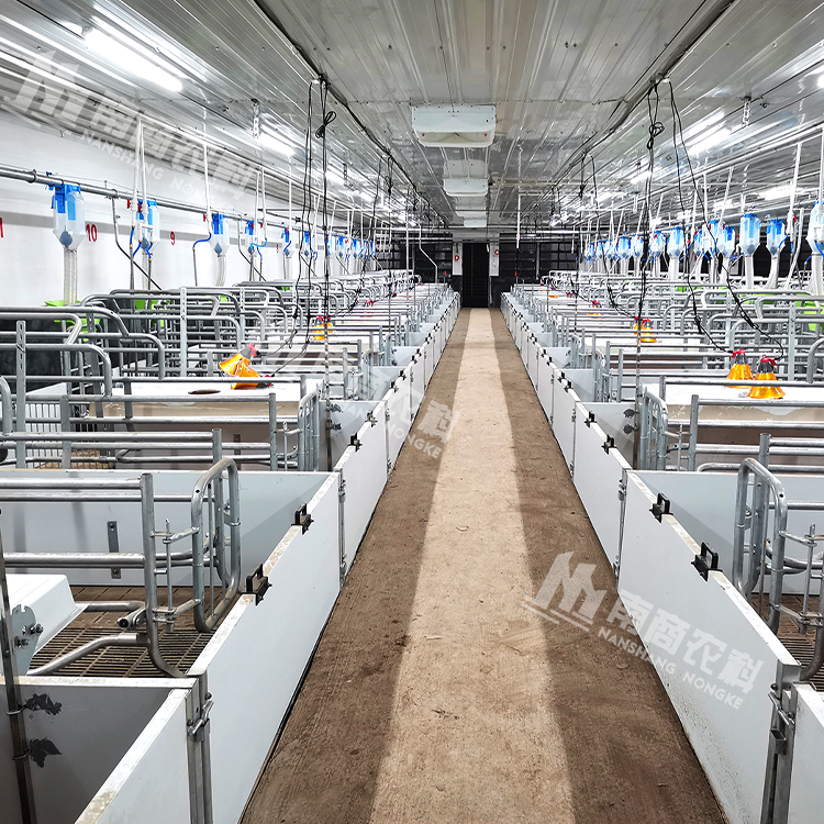 母猪产床 饲养限位栏 全自动化养猪厂栏位设备