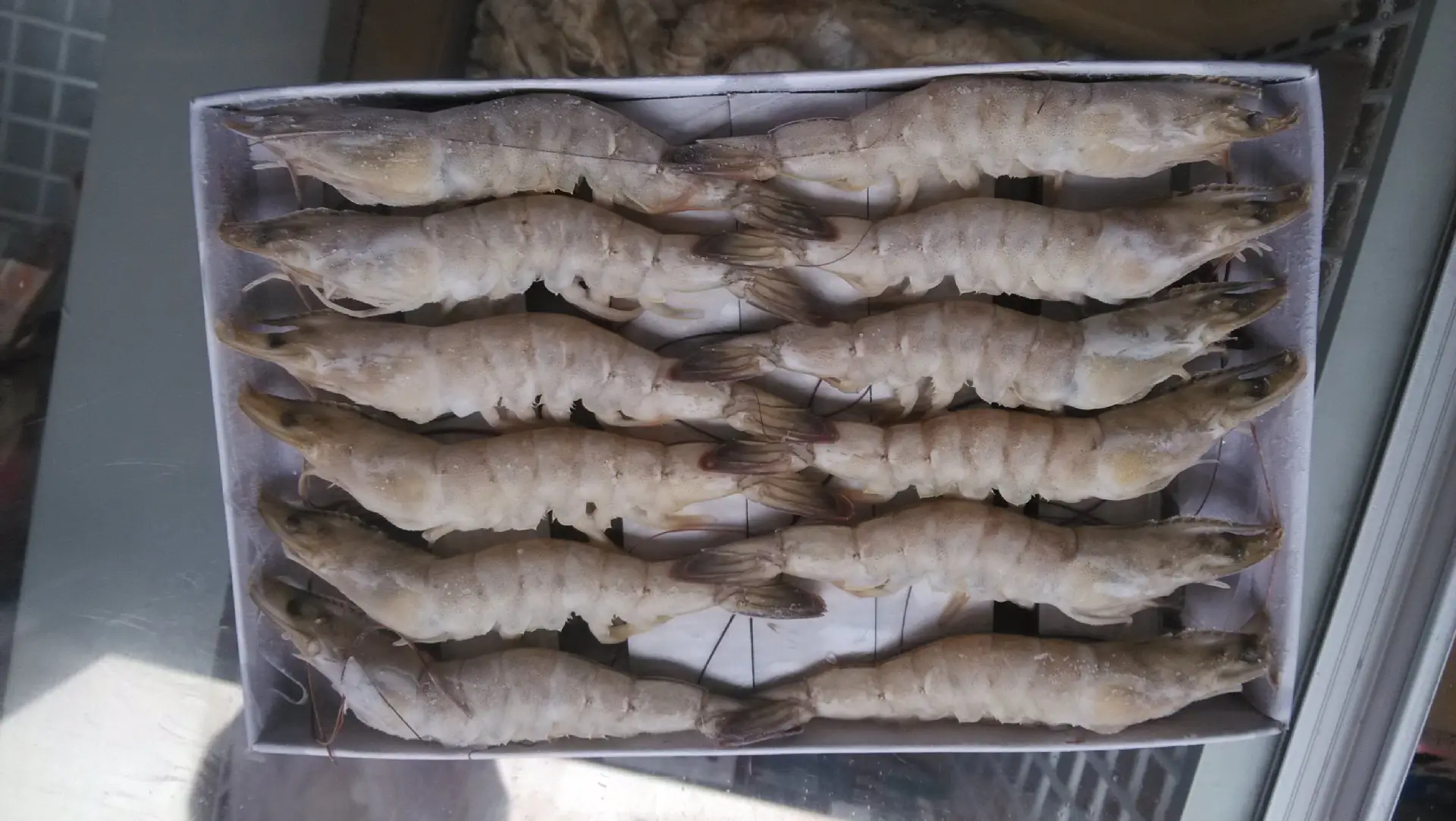 冻麻虾仁进口报关到广州南沙案例详情。