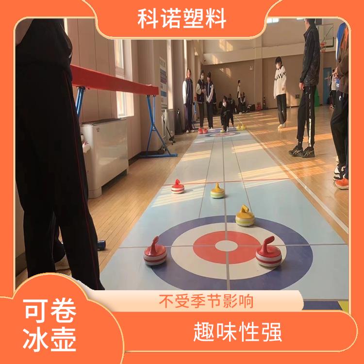 北京便携式陆地冰壶型号 地壶球厂家 塑料冰壶厂家