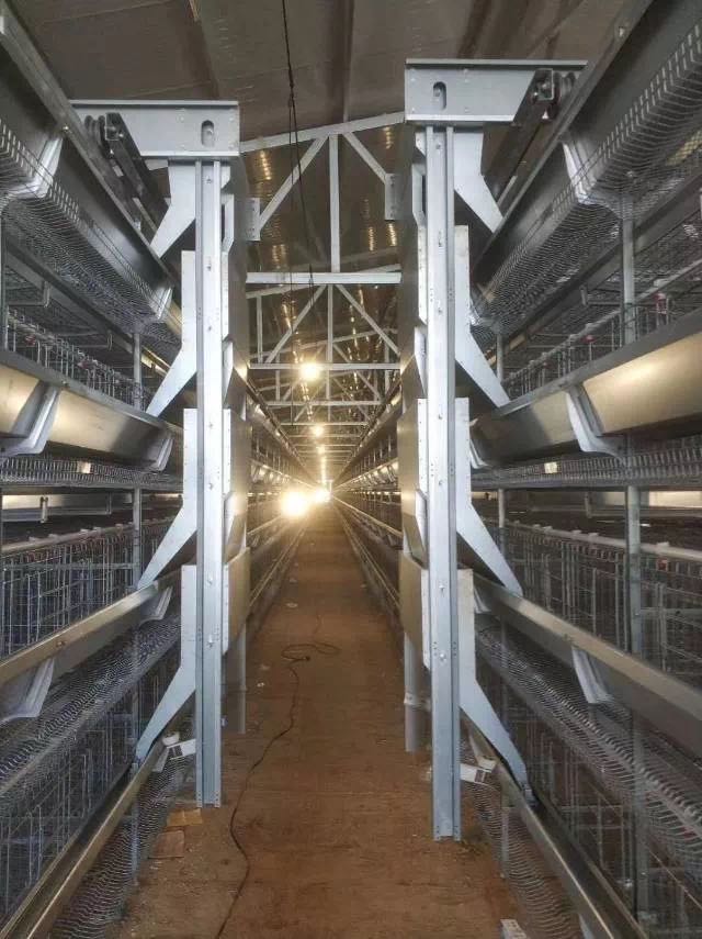 河南鸡笼生产厂家供应层叠蛋鸡笼皮带清粪机全自动养鸡设备