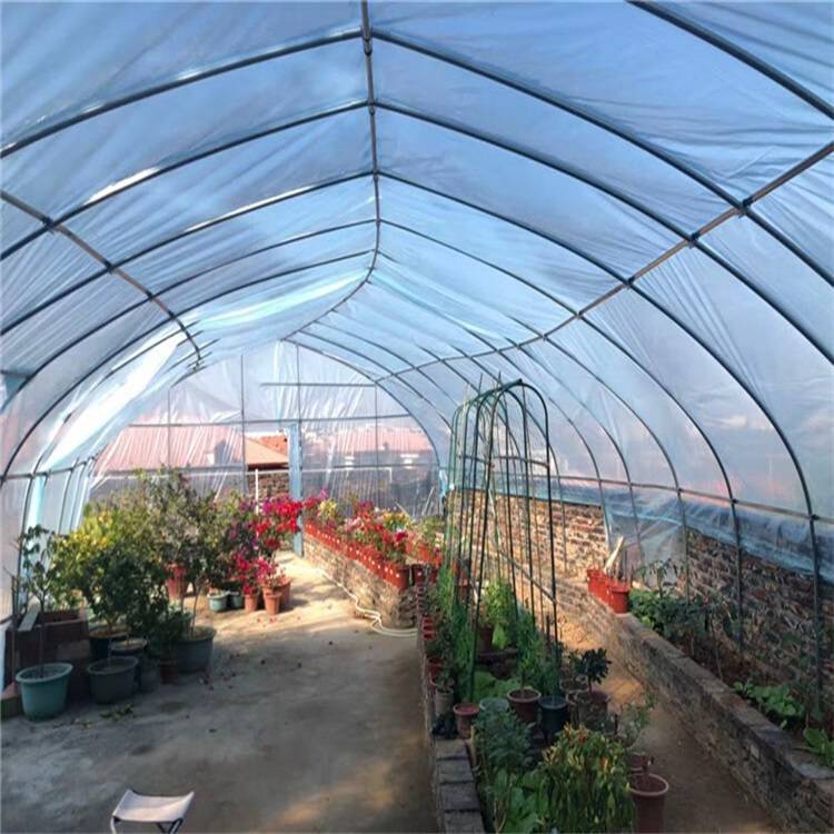 广州增城 龙虾养殖温室 蓝莓单栋大棚 花卉连栋大棚 家用遮阳 ZKZC-01