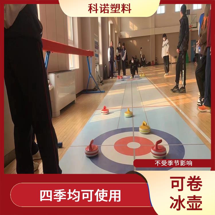 上海供應陸地冰壺哪家好 地板冰壺球 2X10米