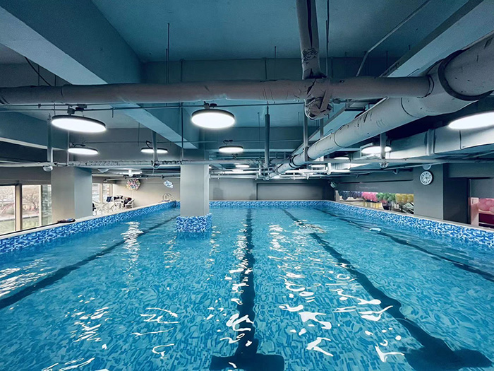 可拆装钢结构泳池 室内恒温拼装式可移动泳池 装配式组装池