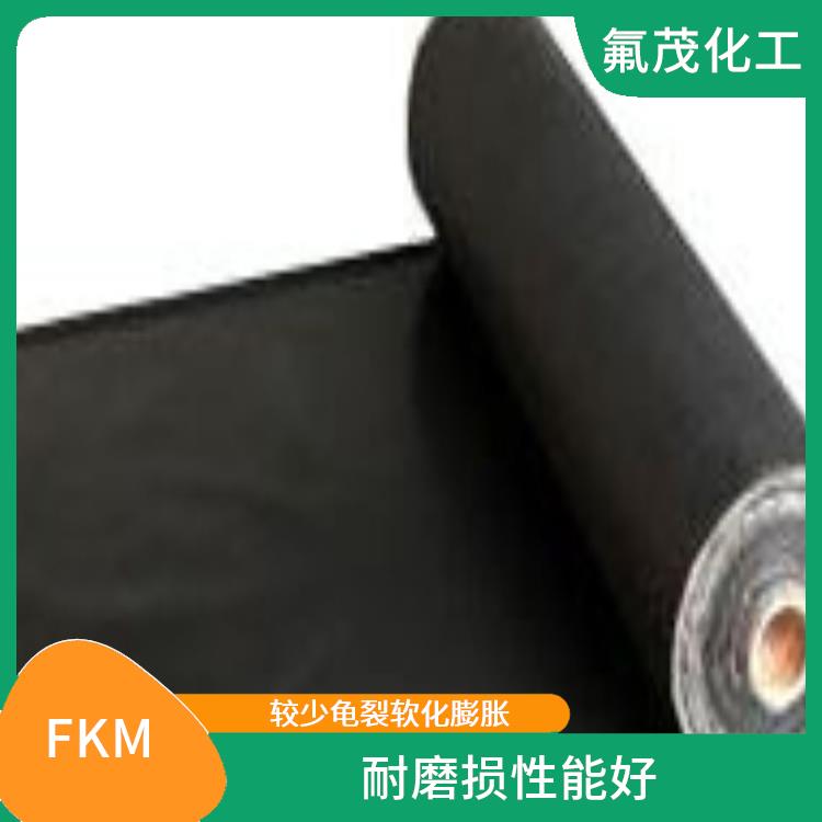 FKM 耐化學腐蝕 可在高溫高壓下工作