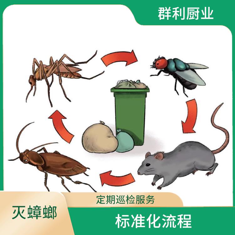 淄川区食品生产企业灭蟑螂灭蚊蝇 标准化流程 有效降低鼠害密度